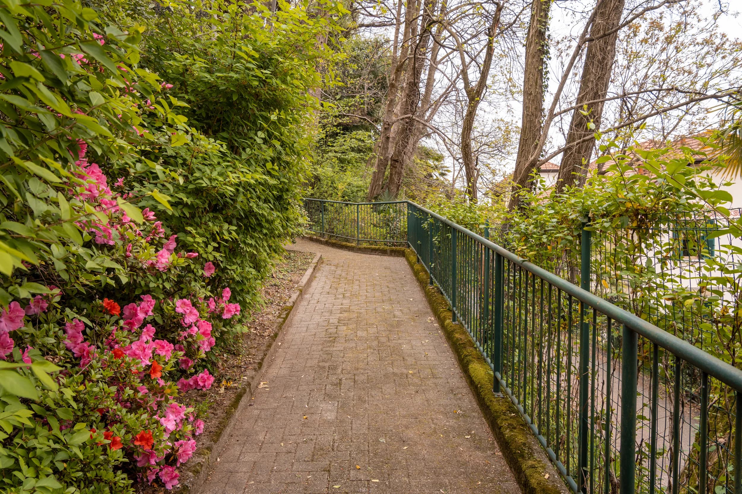 Giardino esterno – Babylandia asilo nido Varese